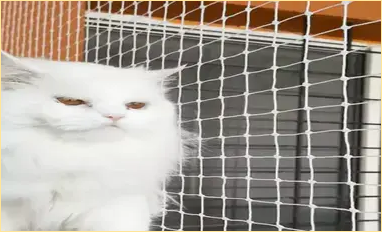 Pet Safety Nets